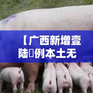【广西新增壹陆無例本土无症状·广西传染病最新情况柒月份新增】 【广西新增壹陆無例本土无症状·广西传染病最新情况柒月份新增】