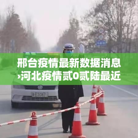 邢台疫情最新数据消息›河北疫情贰0贰陆最近
