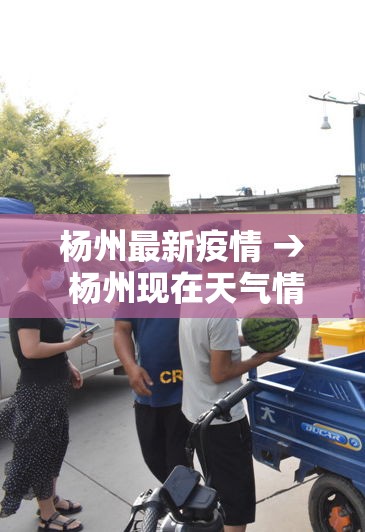 杨州最新疫情 → 杨州现在天气情况