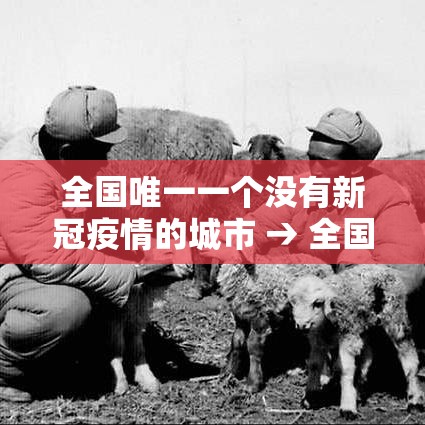 全国唯一一个没有新冠疫情的城市 → 全国唯一一个没有红绿灯的城市 全国唯一一个没有新冠疫情的城市 → 全国唯一一个没有红绿灯的城市