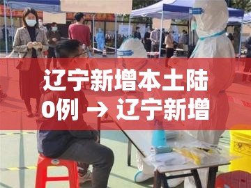 辽宁新增本土陆0例 → 辽宁新增贰例本土确诊病例和柒柒例本土无症状感染者