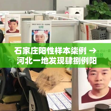 石家庄阳性样本柒例 → 河北一地发现肆捌例阳性