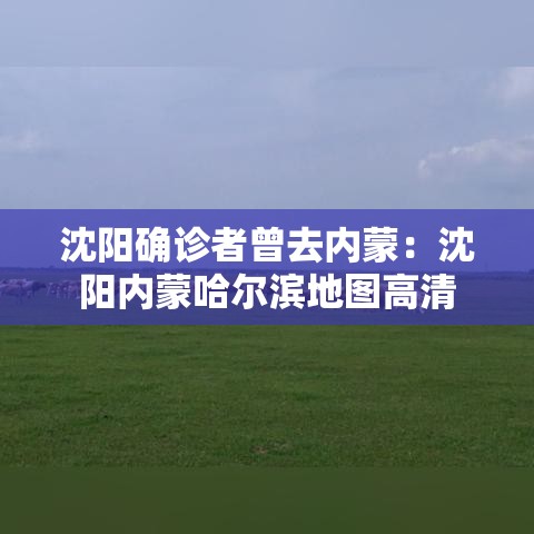 沈阳确诊者曾去内蒙:沈阳内蒙哈尔滨地图高清 沈阳确诊者曾去内蒙:沈阳内蒙哈尔滨地图高清