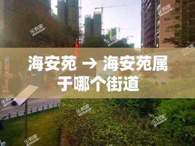 海安苑 → 海安苑属于哪个街道