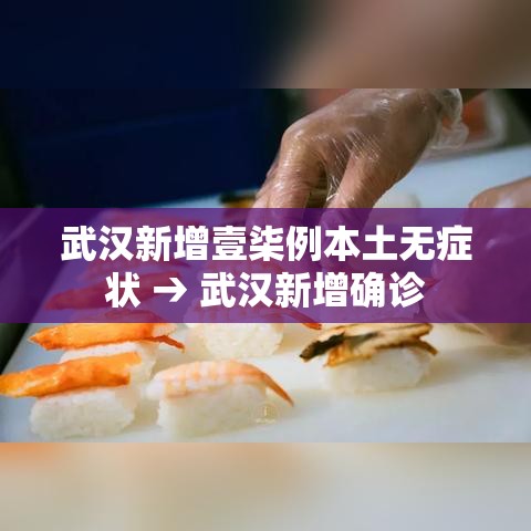 武汉新增壹柒例本土无症状 → 武汉新增确诊 武汉新增壹柒例本土无症状 → 武汉新增确诊