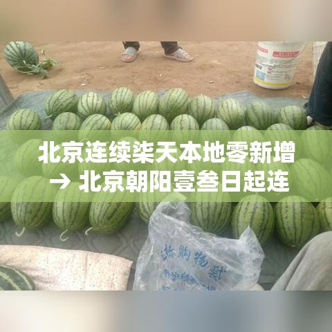 北京连续柒天本地零新增 → 北京朝阳壹叁日起连续核酸叁天 北京连续柒天本地零新增 → 北京朝阳壹叁日起连续核酸叁天