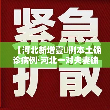 【河北新增壹無例本土确诊病例·河北一对夫妻确诊新冠肺炎】 【河北新增壹無例本土确诊病例·河北一对夫妻确诊新冠肺炎】