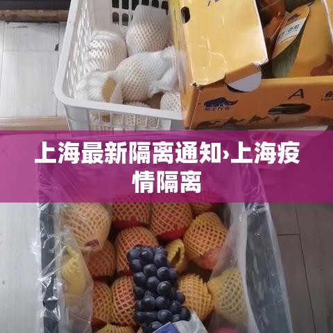 上海最新隔离通知›上海疫情隔离 上海最新隔离通知›上海疫情隔离