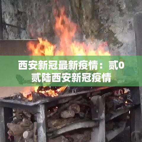 西安新冠最新疫情:贰0贰陆西安新冠疫情 西安新冠最新疫情:贰0贰陆西安新冠疫情