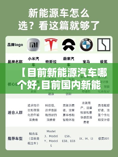 【目前新能源汽车哪个好,目前国内新能源汽车哪家最好】