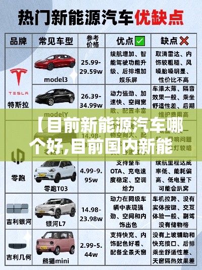 【目前新能源汽车哪个好,目前国内新能源汽车哪家最好】