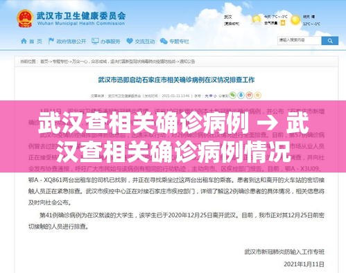 武汉查相关确诊病例 → 武汉查相关确诊病例情况 武汉查相关确诊病例 → 武汉查相关确诊病例情况