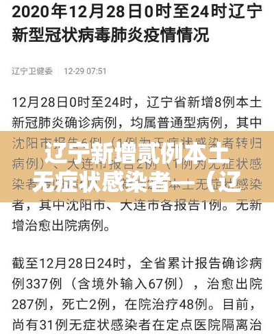 辽宁新增贰例本土无症状感染者—（辽宁新增两例在哪里）