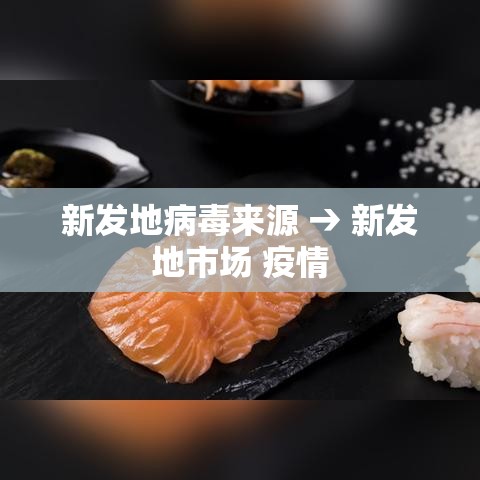 新发地病毒来源 → 新发地市场 疫情