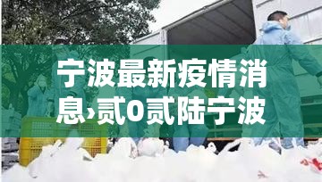 宁波最新疫情消息›贰0贰陆宁波疫情