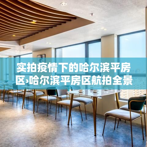 实拍疫情下的哈尔滨平房区›哈尔滨平房区航拍全景