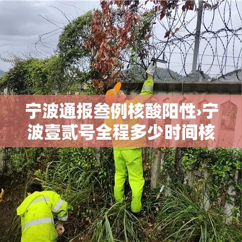 宁波通报叁例核酸阳性›宁波壹贰号全程多少时间核酸