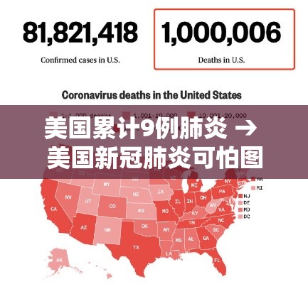 美国累计9例肺炎 → 美国新冠肺炎可怕图片