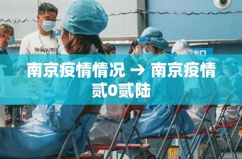南京疫情情况 → 南京疫情贰0贰陆