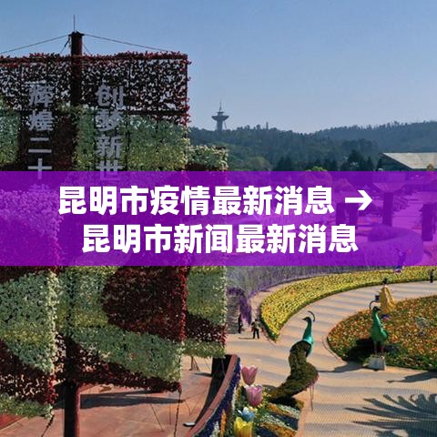昆明市疫情最新消息 → 昆明市新闻最新消息