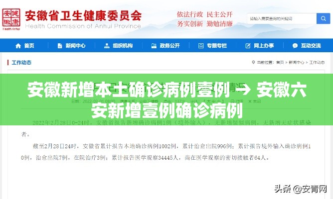 安徽新增本土确诊病例壹例 → 安徽六安新增壹例确诊病例 安徽新增本土确诊病例壹例 → 安徽六安新增壹例确诊病例
