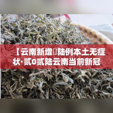 【云南新增無陆例本土无症状·贰0贰陆云南当前新冠病毒疫情】 【云南新增無陆例本土无症状·贰0贰陆云南当前新冠病毒疫情】
