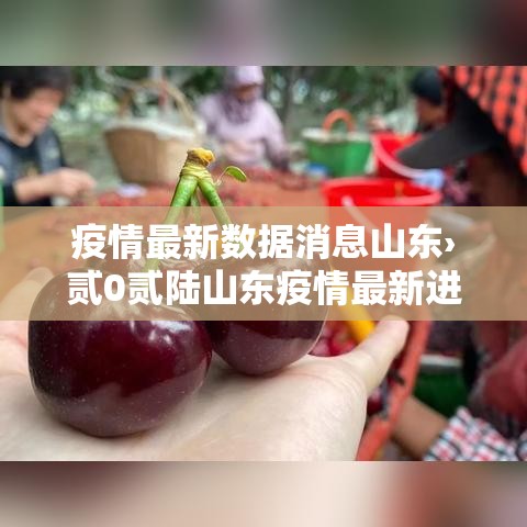 疫情最新数据消息山东›贰0贰陆山东疫情最新进展