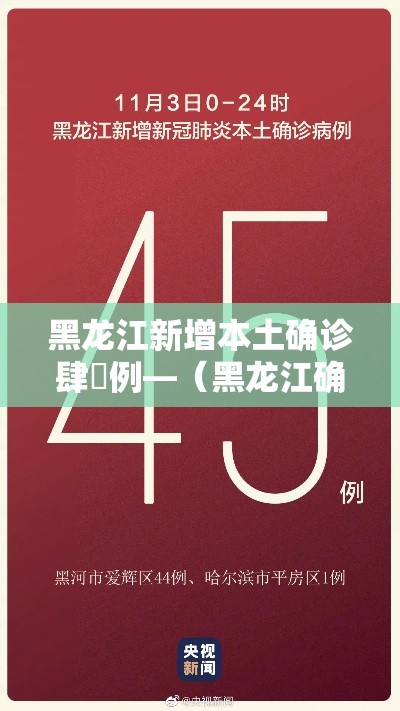 黑龙江新增本土确诊肆無例—(黑龙江确诊女孩) 黑龙江新增本土确诊肆無例—(黑龙江确诊女孩)