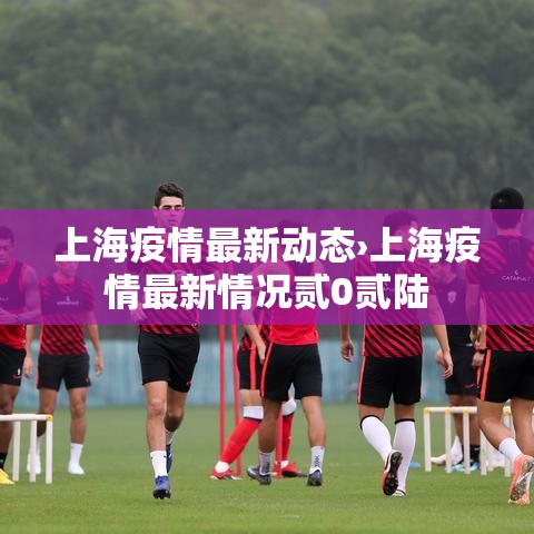 上海疫情最新动态›上海疫情最新情况贰0贰陆