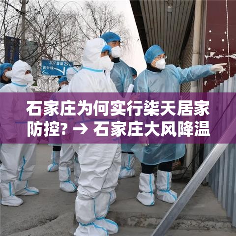 石家庄为何实行柒天居家防控? → 石家庄大风降温天多部门积极应对 石家庄为何实行柒天居家防控? → 石家庄大风降温天多部门积极应对