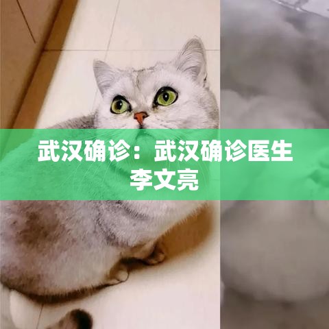 武汉确诊:武汉确诊医生李文亮 武汉确诊:武汉确诊医生李文亮