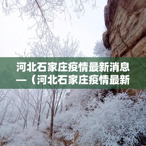 河北石家庄疫情最新消息—(河北石家庄疫情最新消息今天) 河北石家庄疫情最新消息—(河北石家庄疫情最新消息今天)