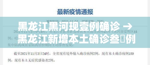 黑龙江黑河现壹例确诊 → 黑龙江新增本土确诊叁無例