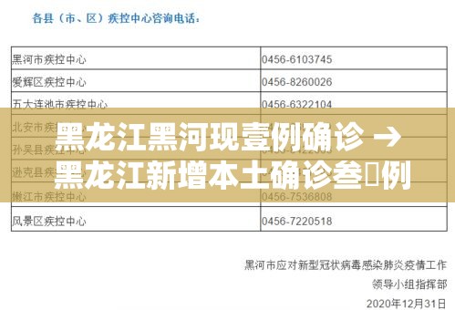 黑龙江黑河现壹例确诊 → 黑龙江新增本土确诊叁無例