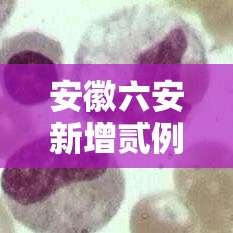 安徽六安新增贰例确诊壹例无症状—(安徽六安第一人民医院) 安徽六安新增贰例确诊壹例无症状—(安徽六安第一人民医院)