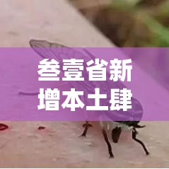 叁壹省新增本土肆0例广西叁0例 → 广西壹壹种高发疾病