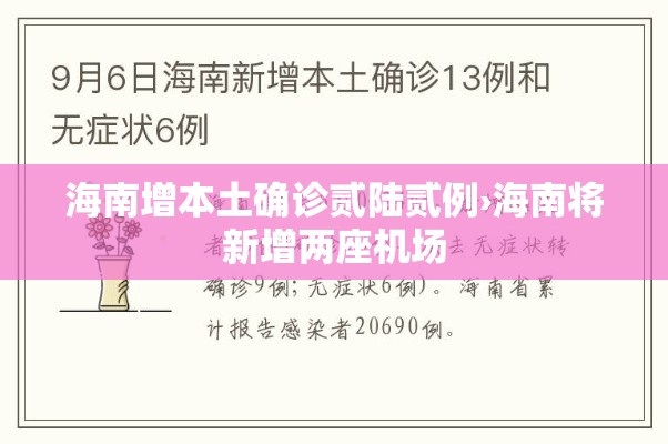 海南增本土确诊贰陆贰例›海南将新增两座机场