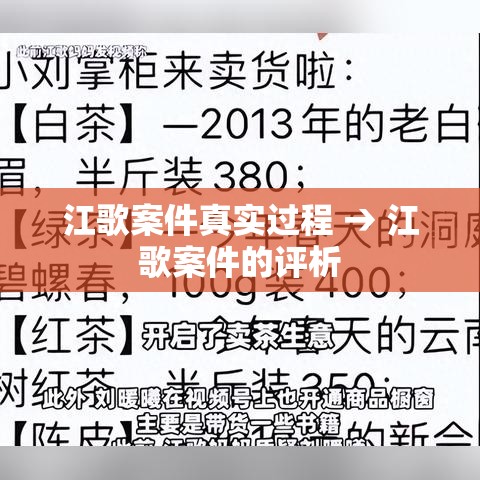 江歌案件真实过程 → 江歌案件的评析