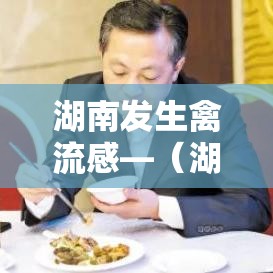 湖南发生禽流感—(湖南发生禽流感最新消息) 湖南发生禽流感—(湖南发生禽流感最新消息)