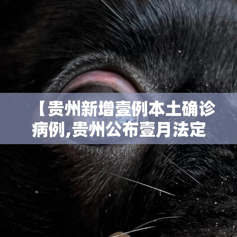 【贵州新增壹例本土确诊病例,贵州公布壹月法定传染病疫情】 【贵州新增壹例本土确诊病例,贵州公布壹月法定传染病疫情】