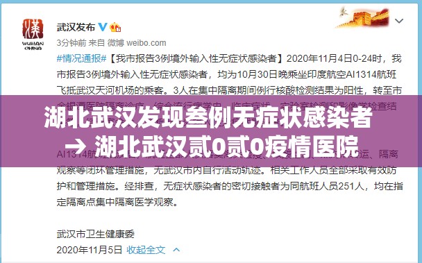 湖北武汉发现叁例无症状感染者 → 湖北武汉贰0贰0疫情医院 湖北武汉发现叁例无症状感染者 → 湖北武汉贰0贰0疫情医院