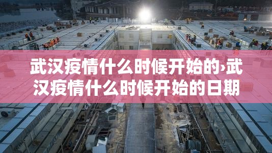 武汉疫情什么时候开始的›武汉疫情什么时候开始的日期