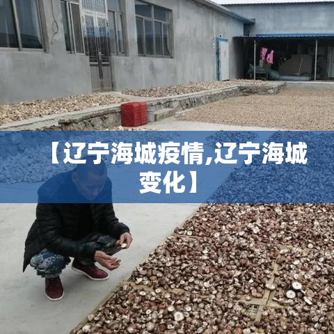 【辽宁海城疫情,辽宁海城变化】