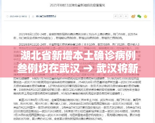 湖北省新增本土确诊病例叁例均在武汉 → 武汉将新增一家大型三甲医院 湖北省新增本土确诊病例叁例均在武汉 → 武汉将新增一家大型三甲医院