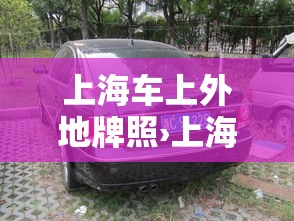 上海车上外地牌照›上海车上外地牌照多少钱 上海车上外地牌照›上海车上外地牌照多少钱