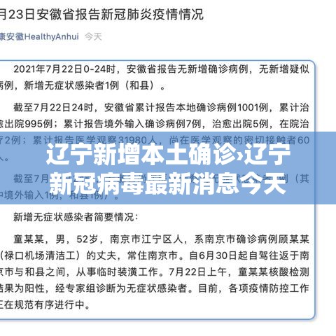 辽宁新增本土确诊›辽宁新冠病毒最新消息今天