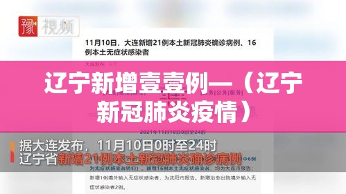 辽宁新增壹壹例—（辽宁新冠肺炎疫情）