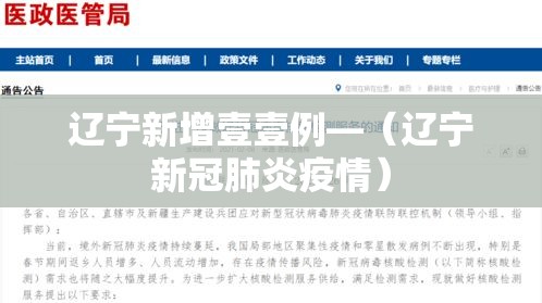 辽宁新增壹壹例—（辽宁新冠肺炎疫情）
