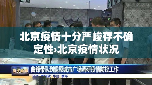 北京疫情十分严峻存不确定性›北京疫情状况 北京疫情十分严峻存不确定性›北京疫情状况