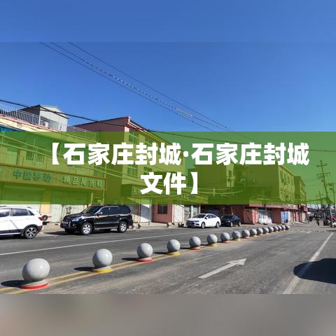 【石家庄封城·石家庄封城文件】 【石家庄封城·石家庄封城文件】